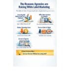 The Reasons Agencies are Raising White Label Marketing
